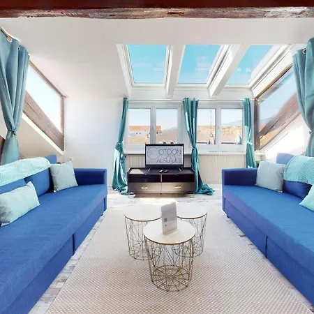 Le Cocon Colmarien - Proche Centre Et Gare - Stationnement Gratuit - 10 Personnes *