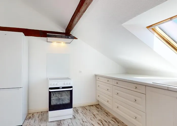 Le Cocon Colmarien - Proche Centre Et Gare - Stationnement Gratuit - 10 Personnes