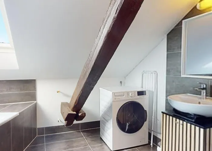 아파트 Le Cocon Colmarien - Proche Centre Et Gare - Stationnement Gratuit - 10 Personnes *