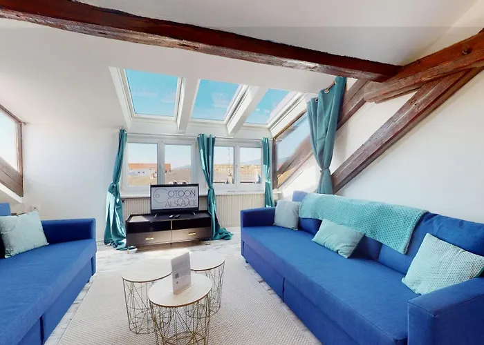 Le Cocon Colmarien - Proche Centre Et Gare - Stationnement Gratuit - 10 Personnes *